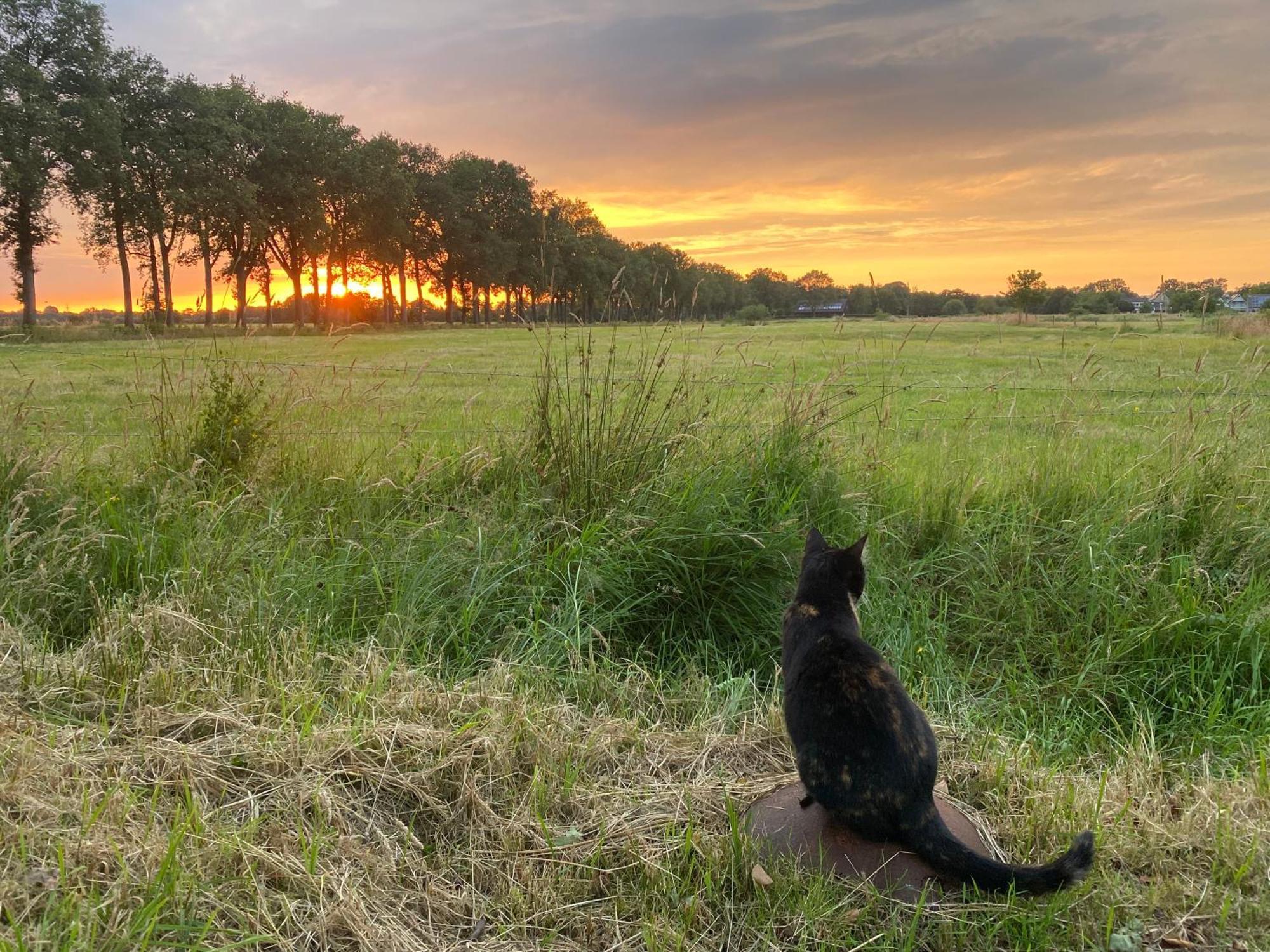 Kindvriendelijk Appartement De Hooge Stukken Onder De Rook Van Groningen Eelde-Paterswolde Bagian luar foto
